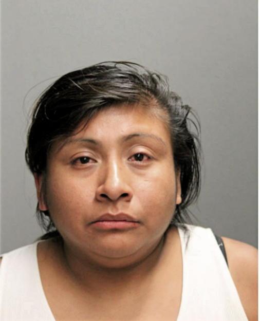 MICAELA HERNANDEZ-AYUSO, Cook County, Illinois