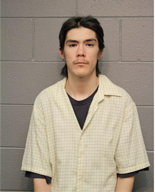 JOHN S HERNANDEZ, Cook County, Illinois