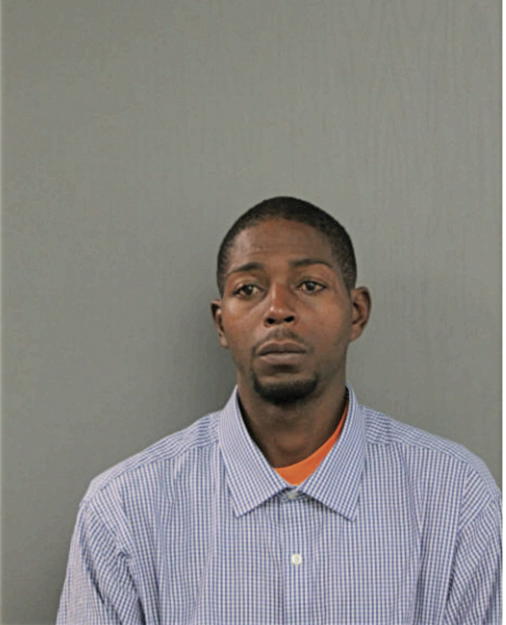 FRANK S JOHNSON, Cook County, Illinois