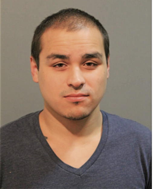 MICHAEL A KUBAS, Cook County, Illinois