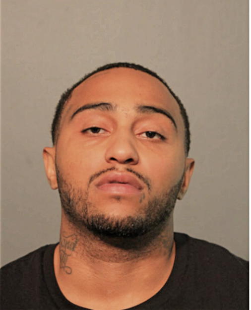 JEREMY L MARTINEZ, Cook County, Illinois