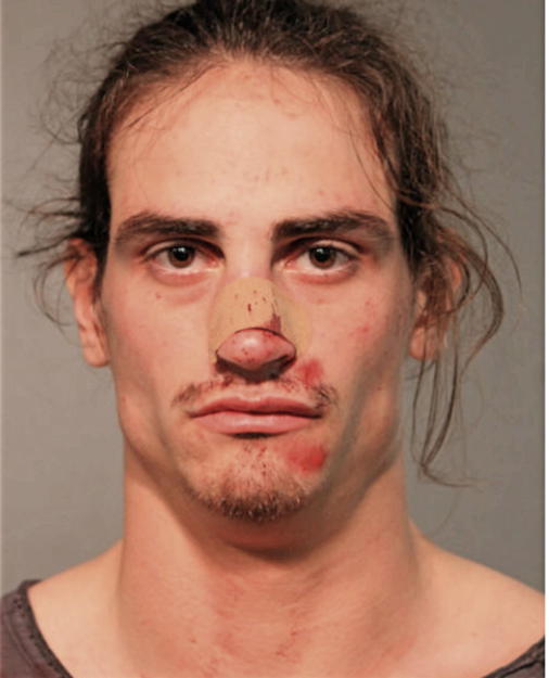 SEAMUS M MCDONAGH, Cook County, Illinois