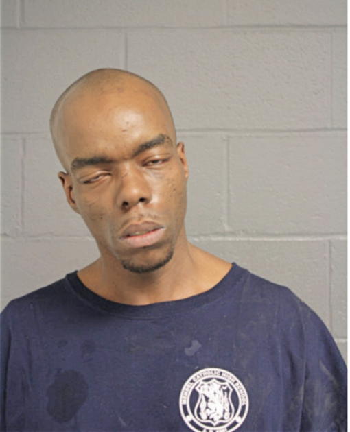 DARNELL MCKINZIE, Cook County, Illinois