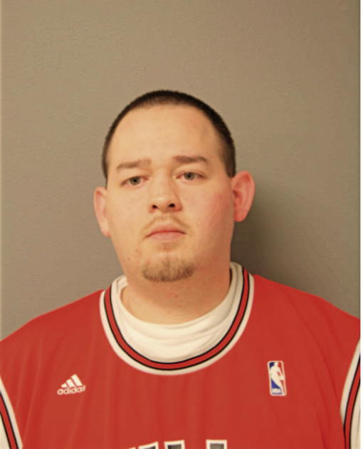 NICHOLAS M MEDINA, Cook County, Illinois