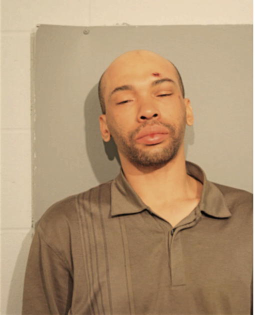 DANNEL M MITCHELL, Cook County, Illinois