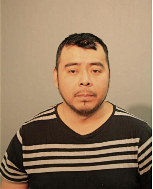 FAUSTINO MORALES, Cook County, Illinois