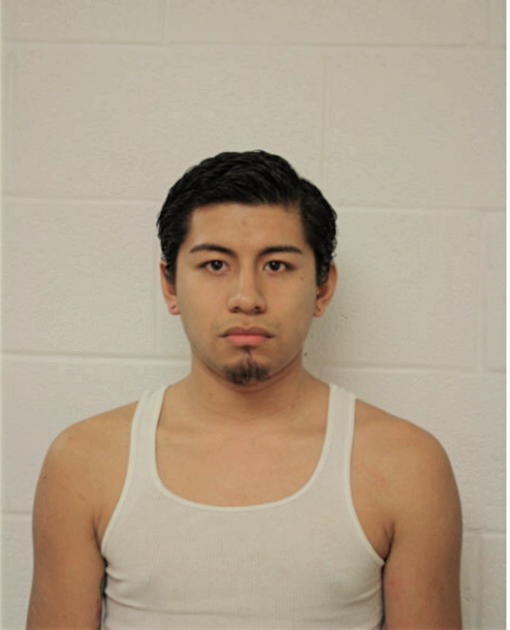 ALEJANDOR NAJERA, Cook County, Illinois