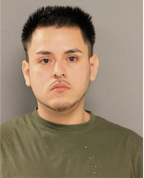 CARLOS JAVIER ORTEGA, Cook County, Illinois
