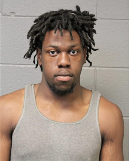 AUSTIN M PALMER, Cook County, Illinois
