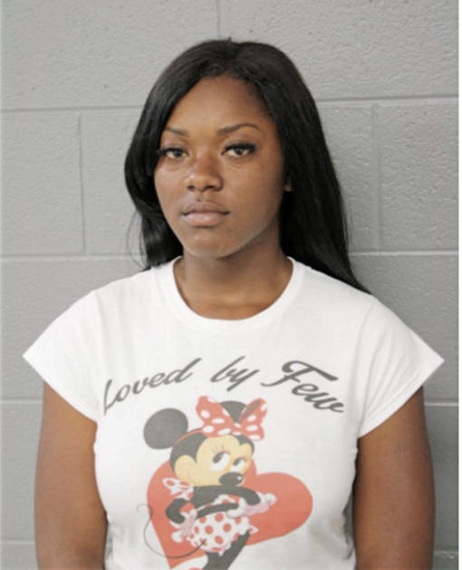 BRIANA M PERSON, Cook County, Illinois