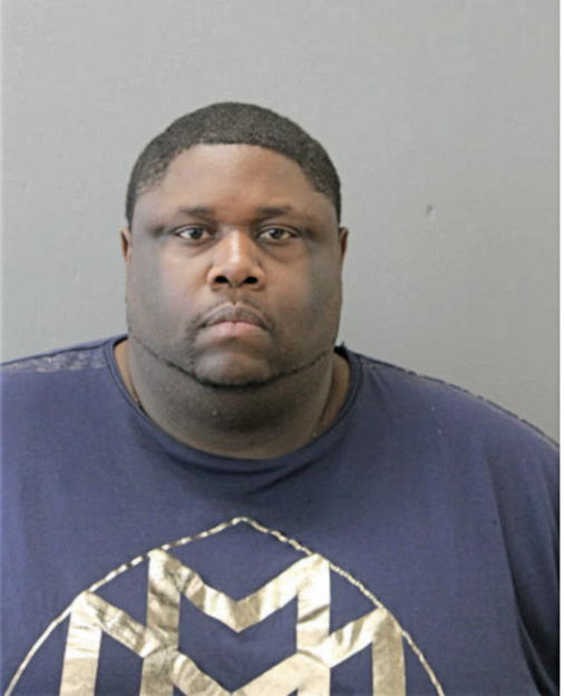 DAVID L VERNER, Cook County, Illinois