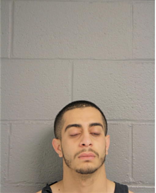ALI AL-RIFAEI, Cook County, Illinois
