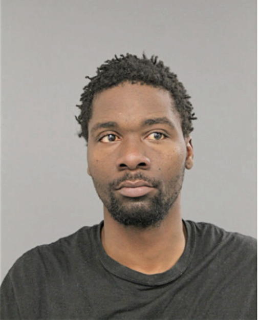 TRIMAINE R ANDERSON, Cook County, Illinois