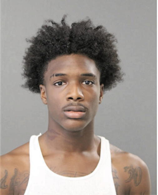 DARIN C BARNES, Cook County, Illinois