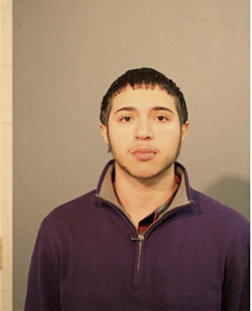 ANGEL M COLON, Cook County, Illinois