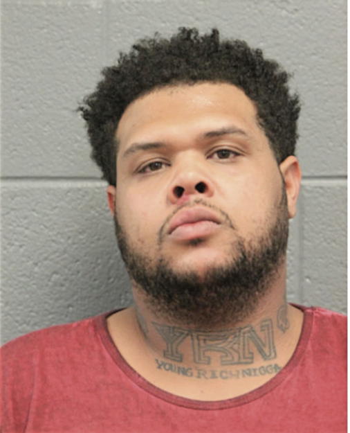 BRANDON D NERO, Cook County, Illinois