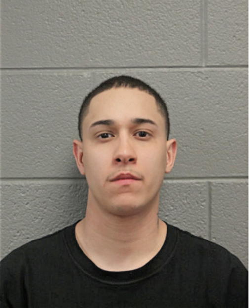 MICHAEL P DANKERT, Cook County, Illinois