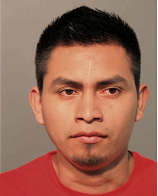ANGEL ANIBAL FELIPE-PEREZ, Cook County, Illinois