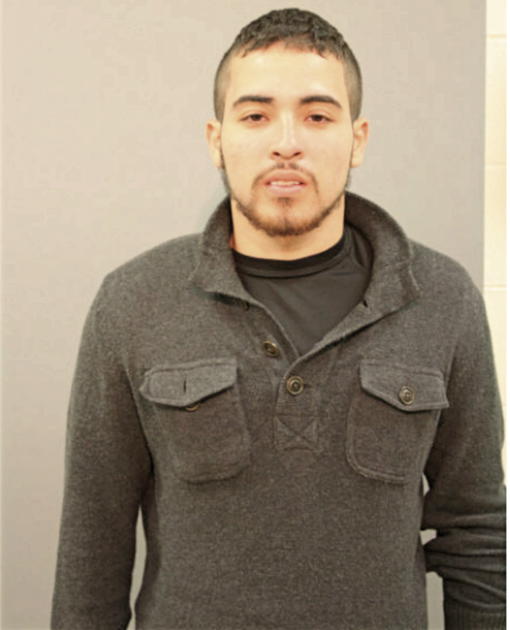 DAVID A GARCIA, Cook County, Illinois