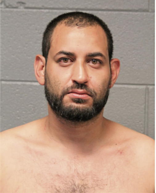 NESTOR J GARCIA, Cook County, Illinois