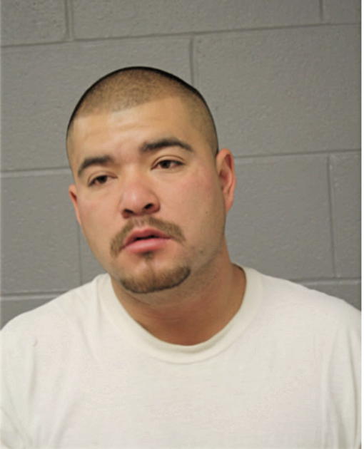 GUSTABO CONTRERAS GOMES, Cook County, Illinois
