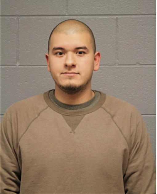ALERT GONZALEZ, Cook County, Illinois
