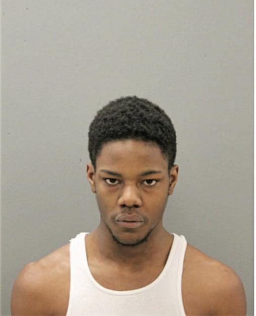 TIMOTHY T GORDON, Cook County, Illinois