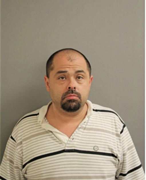 DAVID P GUZMAN, Cook County, Illinois
