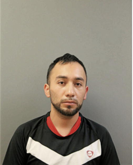 JULIO CESAR HERNANDEZ-CARILLO, Cook County, Illinois