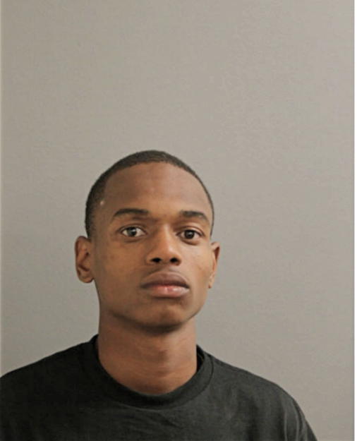 AARON D JOHNSON, Cook County, Illinois