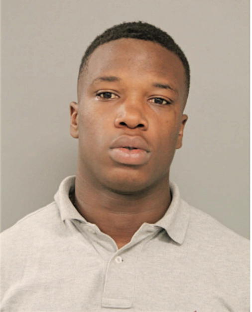 DOMINIC O JOHNSON, Cook County, Illinois