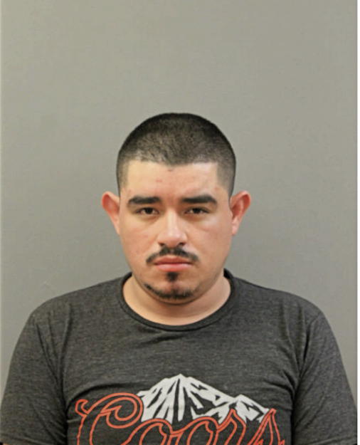 LAURENTINO LEON-LUNA, Cook County, Illinois