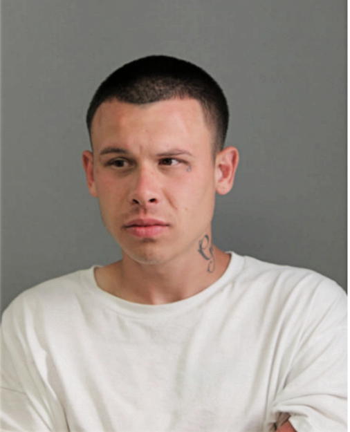 BRADLEY J LEONARD, Cook County, Illinois