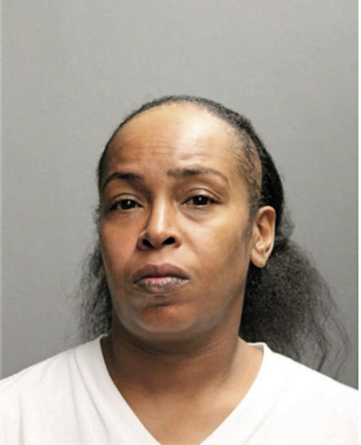JANINE T LESLIE, Cook County, Illinois