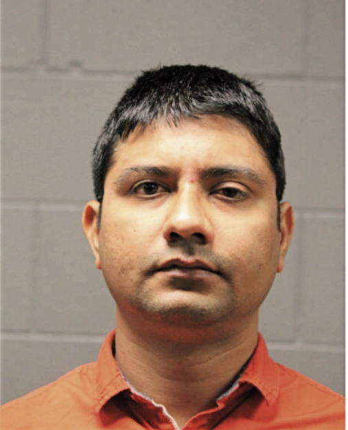 HITESHKUMAR S MALI, Cook County, Illinois