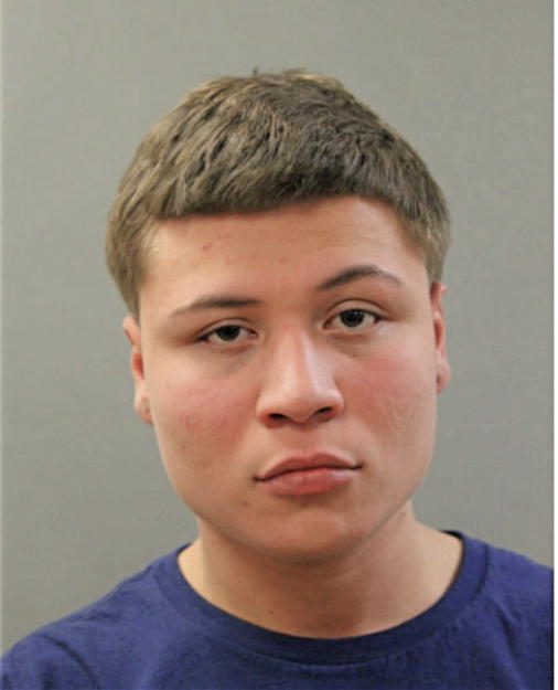 IVAN L MELENDEZ, Cook County, Illinois