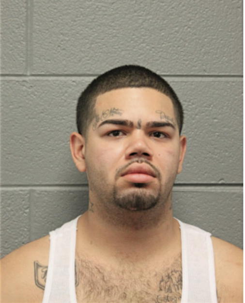 JUSTIN D MENDOZA, Cook County, Illinois