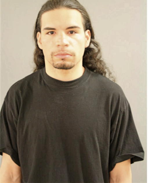 DANIEL A MOLINA, Cook County, Illinois