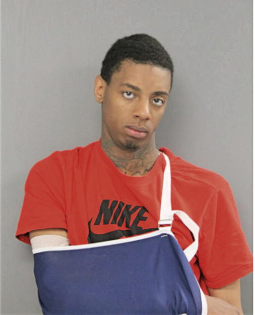 LAMAR K MOSS, Cook County, Illinois
