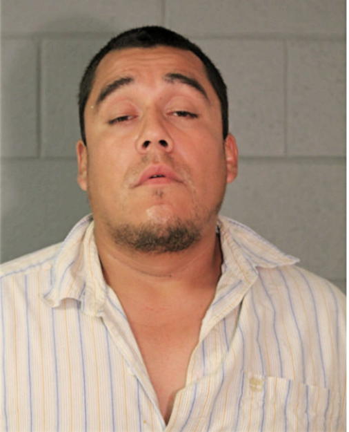 PETER D PINEDA, Cook County, Illinois