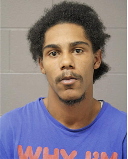 JOSIAH T ROBERTS, Cook County, Illinois