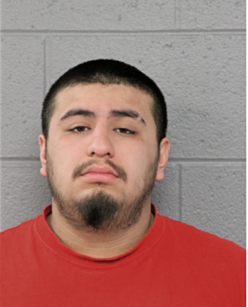 HECTOR A SANCHEZ, Cook County, Illinois