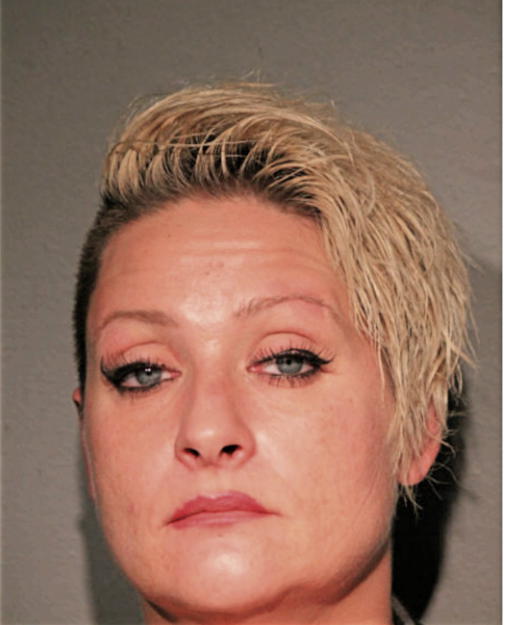 DIANA SCHARDAN, Cook County, Illinois