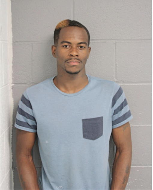 JAMIE TERRELL, Cook County, Illinois