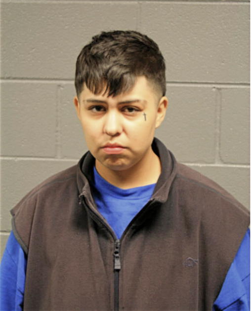 ROSEMARY YOLANDA VARGAS, Cook County, Illinois