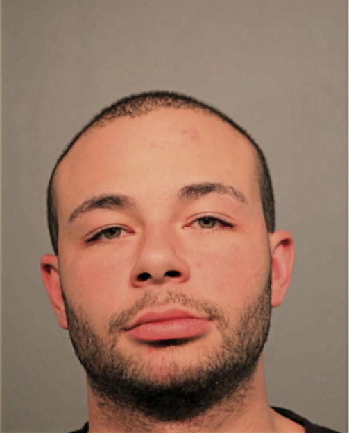 LESHANDON M WATSON, Cook County, Illinois