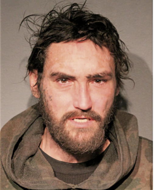 DAVID WILLIAMSON, Cook County, Illinois