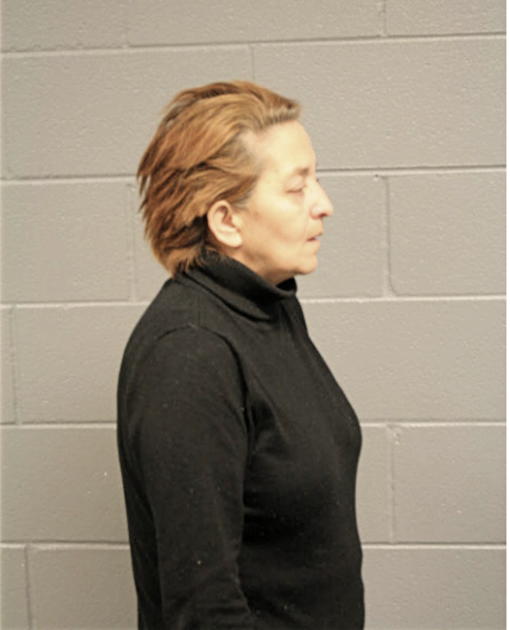 FRANCES ACEVEZ, Cook County, Illinois