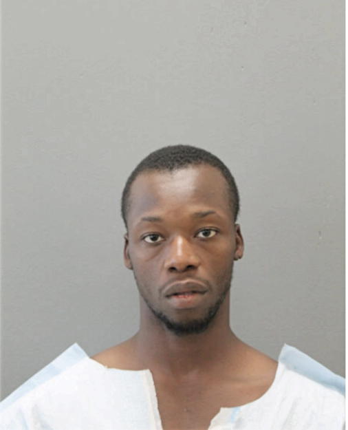 WILL P ALSTON, Cook County, Illinois