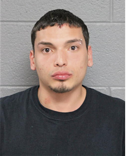 HECTOR G ALVAREZ, Cook County, Illinois